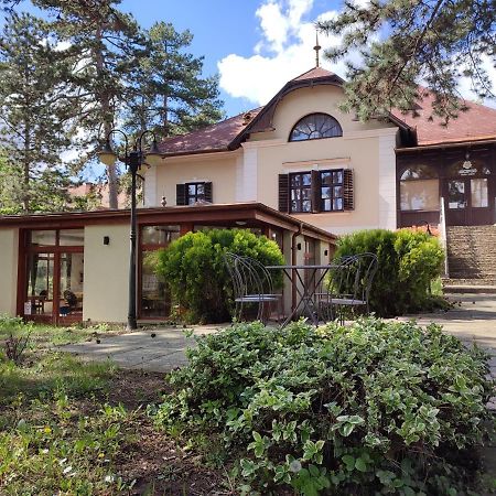巴拉顿菲赖德 Imola Garden Vendeghaz酒店 外观 照片