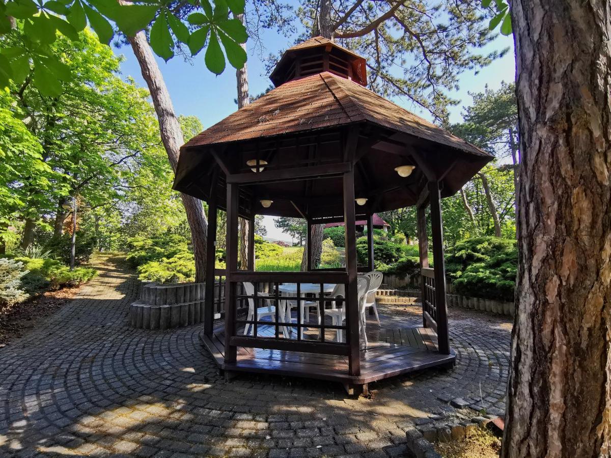 巴拉顿菲赖德 Imola Garden Vendeghaz酒店 外观 照片